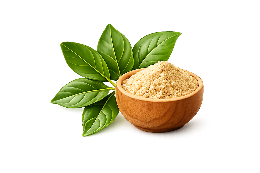 Premium Ingredients